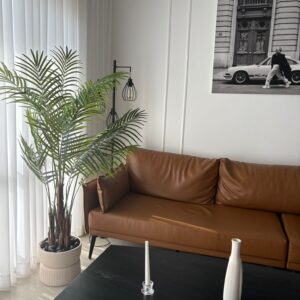 אופק - בינוני - נוכחות מרשימה