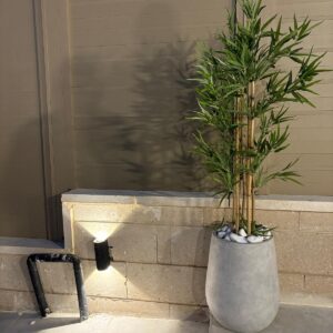 גליל - בינוני - יופי נקי ומינימליסטי