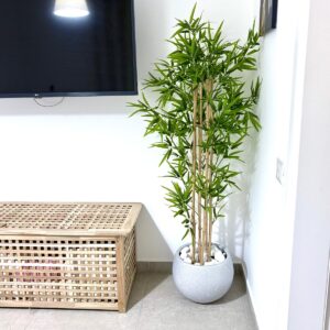 נוף - קטן - בהירות בחיים ובבית