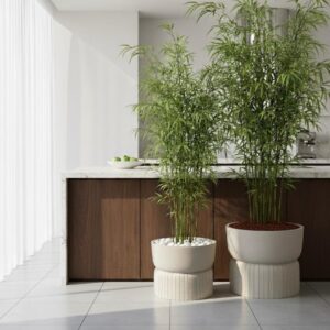 אופק - הרמוני ומרגיע