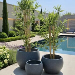 דגם בראשית – כד מעוצב למראה טבעי ויוקרתי