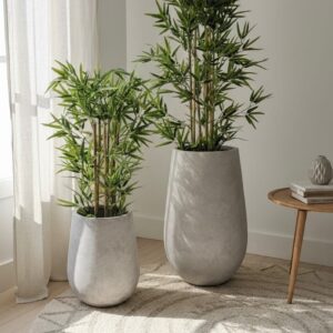 גליל - יופי נקי ומינימליסטי