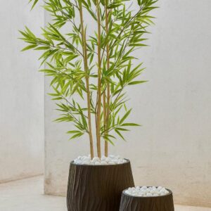 חורש - סט – עוצמה ויופי בגימור שחור עמוק