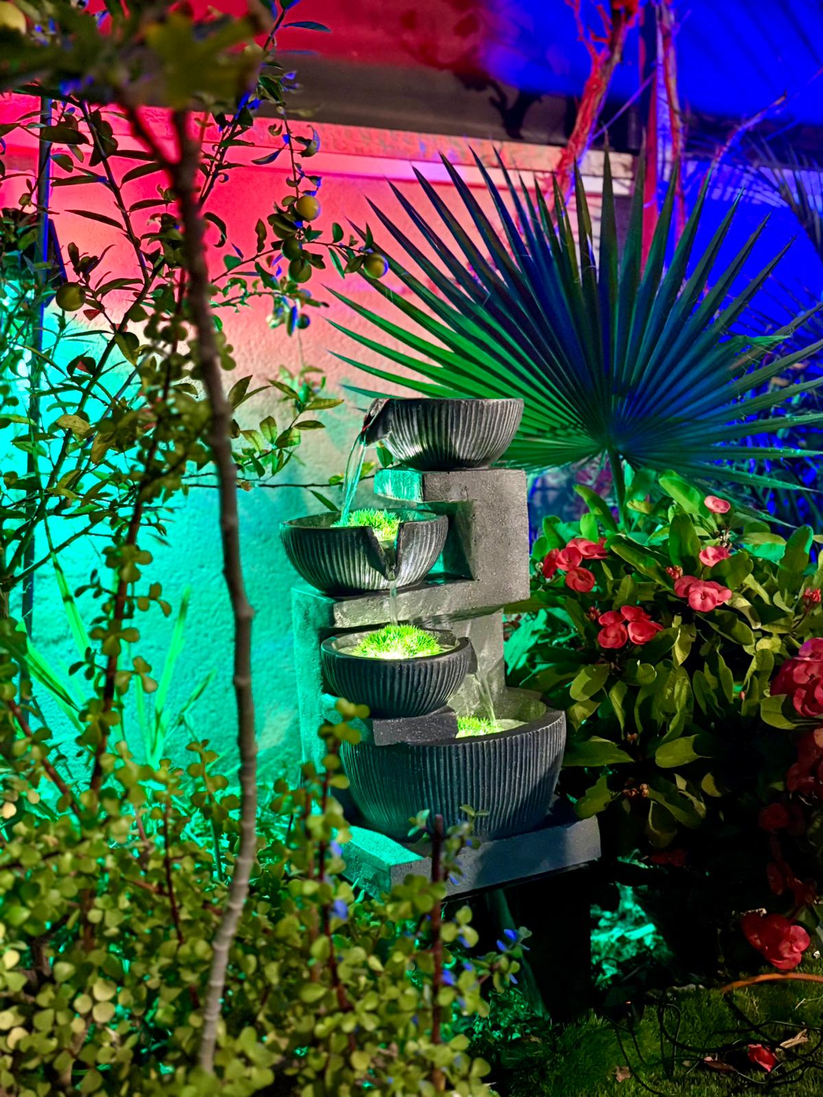 חרמון – תמונה 2