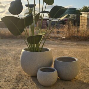 נוף - בינוני - בהירות בחיים ובבית.