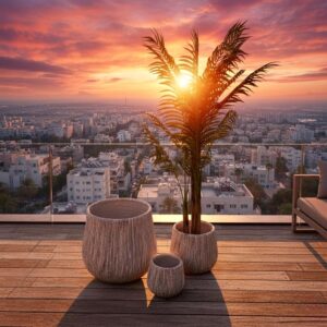 מרום – סט – טקסטורה מהטבע