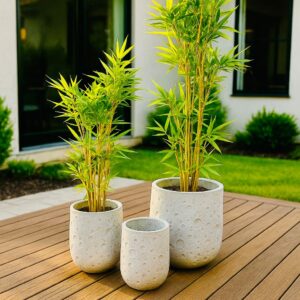 סלע – קטן – עוצמה בראשיתה של כל פינה