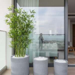 פסגה – גדול – עיצוב שמגיע לשיא