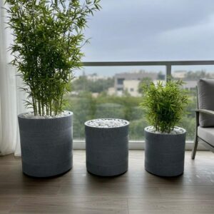 פסגה – סט – עיצוב שמגיע לשיא