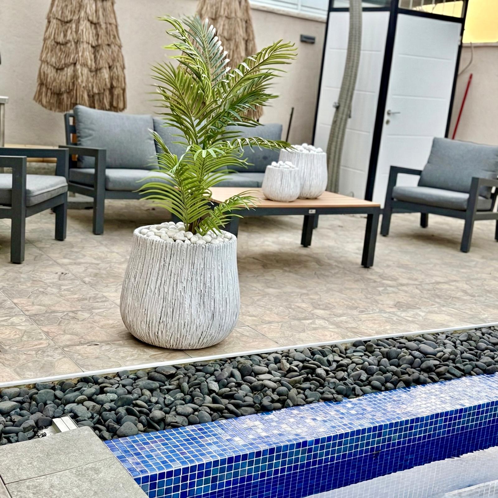 דגם דקל אריקה מלאכותי – נגיעה טרופית עמידה - מחירים בתוך המוצר – תמונה 3