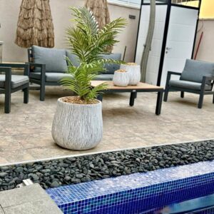 מרום – גדול – טקסטורה מהטבע