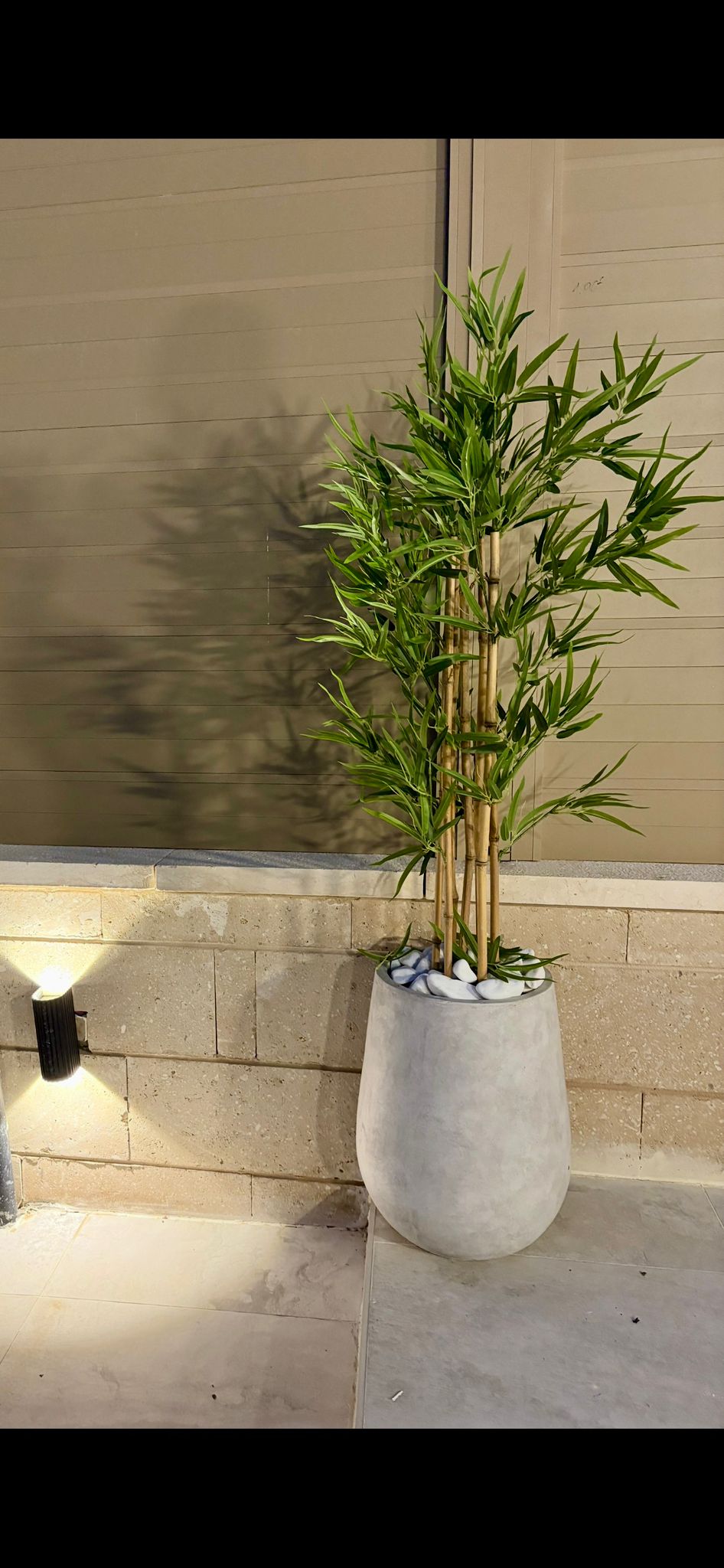 דגם במבוק מלאכותי – אלגנטיות טבעית שנשמרת - מחירים בתוך המוצר – תמונה 3