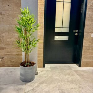 פסגה – בינוני – עיצוב שמגיע לשיא